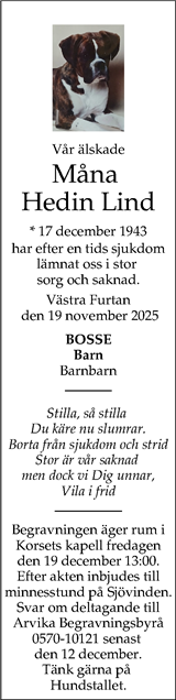 Arvika Nyheter
