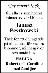 Markbladet