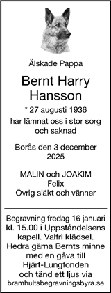 Borås Tidning