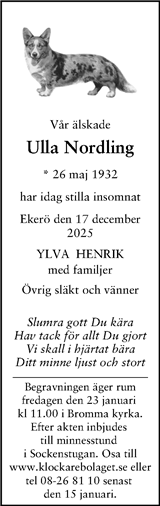 Svenska Dagbladet