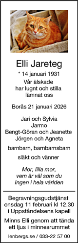 Borås Tidning