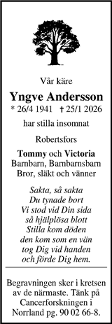 Västerbottens Mellanbygd