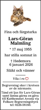 Lokalt i Dalarna (fd Annonsbladet Dalarna)
