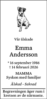 Norrköpings Tidningar