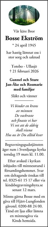 STT Tidningen