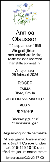 Borås Tidning