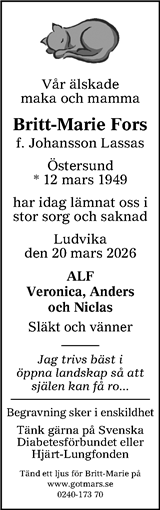 Borlänge Tidning,Falu-Kuriren,Södra Dalarnes Tidning,Nya Ludvika Tidning