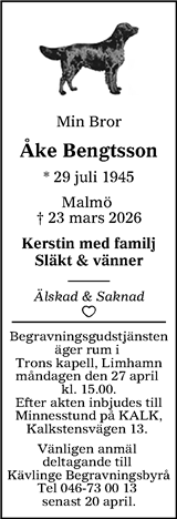 Sydsvenskan