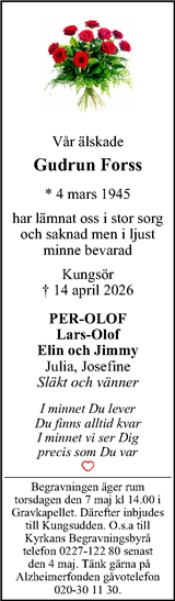 Magazin24