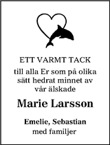 Hallands Nyheter