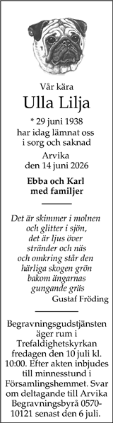 Arvika Nyheter