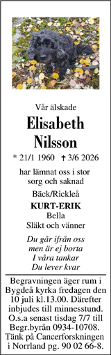 Västerbottens Folkblad,Västerbottens-Kuriren