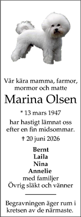 Dalslänningen