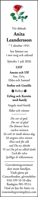 STT Tidningen