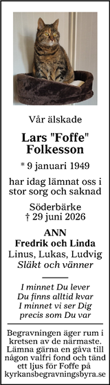 Borlänge Tidning,Falu-Kuriren,Södra Dalarnes Tidning,Nya Ludvika Tidning