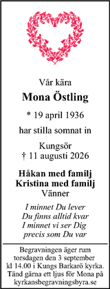 Magazin24