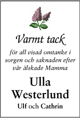 Tidningen 7