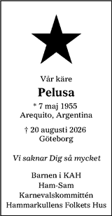 Göteborgs-Posten