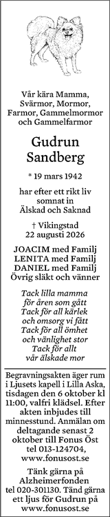 Norrköpings Tidningar,Östgöta Correspondenten