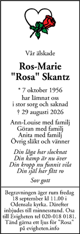 Mitt i Sigtuna