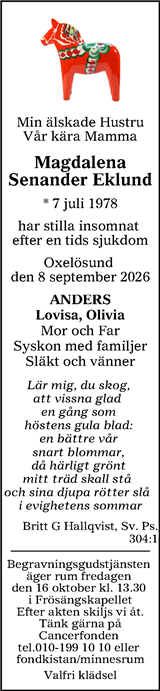 Lokalt i Dalarna (fd Annonsbladet Dalarna)