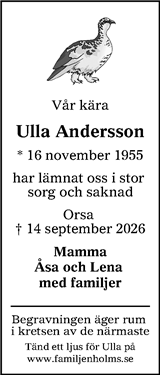 Lokalt i Dalarna (fd Annonsbladet Dalarna)