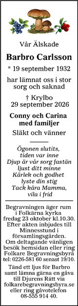 Lokalt i Dalarna (fd Annonsbladet Dalarna)