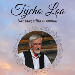 Tycho Loo