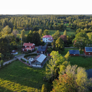 Lemon Holgersson