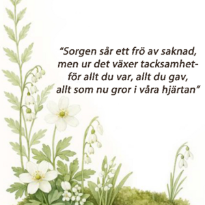 Ann-Kristin Olsson