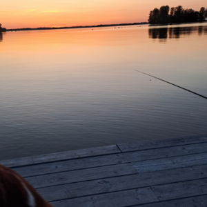 Uffe Back
