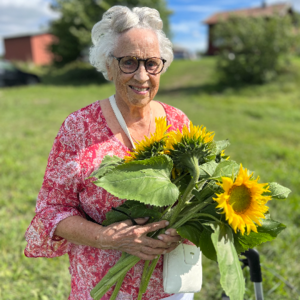 Siv Stålgren