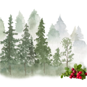 Inger Berglund
